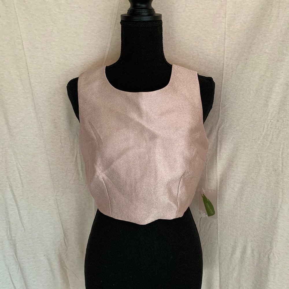 Cute Pink Crop Champagne Top - WITH TAGS